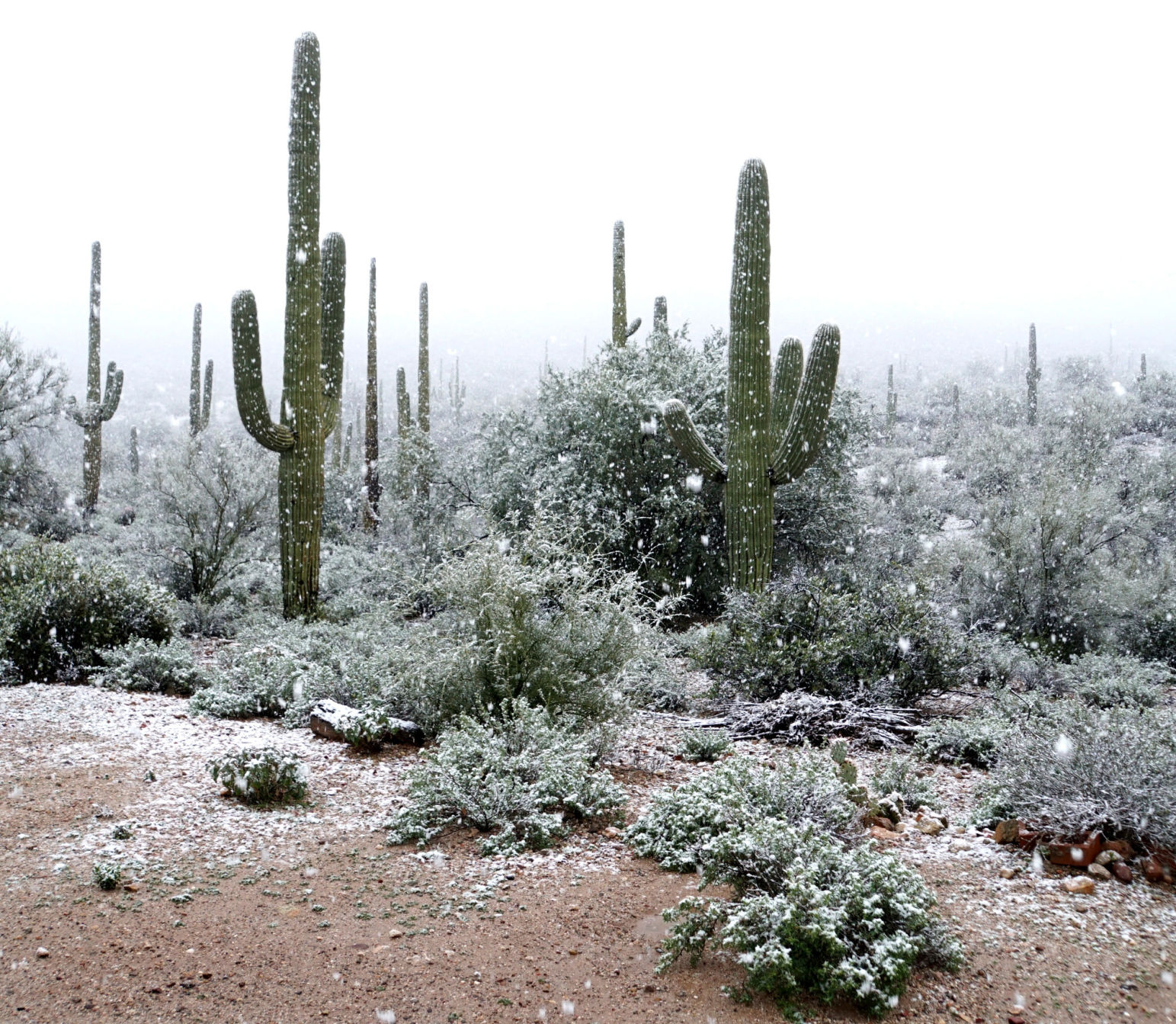 Snow around Tucson